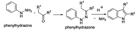 ‌Fischer Indole Synthesis - Definition, Reaction, Mechanism & Drawbacks with FAQs