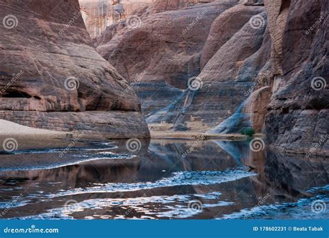 Guelta D`Archei Waterhole Near Oasis, Ennedi Plateau, Chad, Africa ...