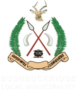 Bushbuckridge Local Municipality (MP325)