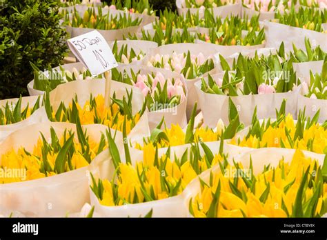 Tulips for sale at Flower market Stock Photo - Alamy