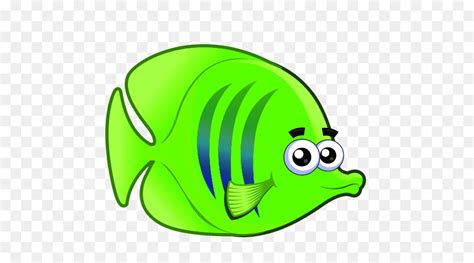 Cartoon Fish Animal Euclidean vector - Cartoon fish png download - 1576*1541 - Free Transparent ...