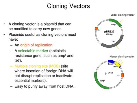 Cloning Definition