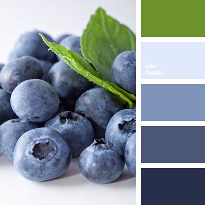 color of blueberries | Color Palette Ideas