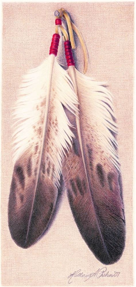 Bald Eagle Feather Drawing