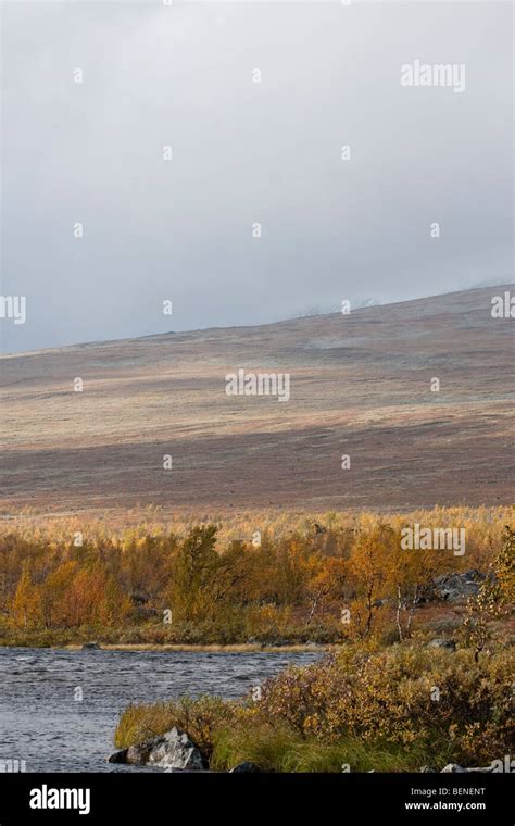 Sarek National Park Stock Photo - Alamy