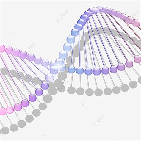 A Combinação De Elementos De Estrutura Molecular De Dna PNG , A Molécula De Dna, A Estrutura ...