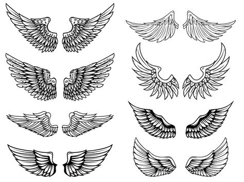 Premium Vector | Wings on white background. elements for logo, label ...