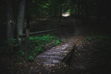 Gruselgeschichte Zum Ausdrucken / Kurzgeschichte Im Moor Leben Ist Gefahrlich Kleine ...