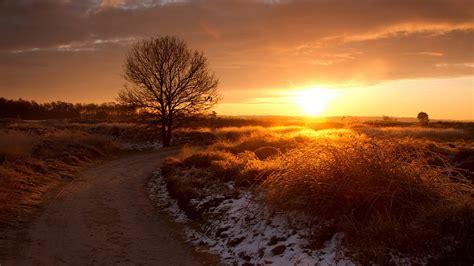 Brown dirt road, nature, sunset, landscape HD wallpaper | Wallpaper Flare