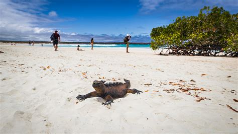 Best beaches in Ecuador - Lonely Planet