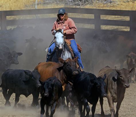 Rush Ranch | Solano Land Trust : Suisun City, CA