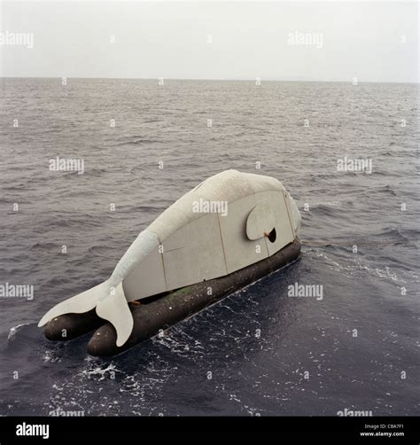 Floating model of a dugong, in Okinawa, Japan Stock Photo - Alamy