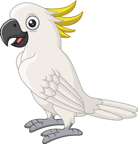 Cockatoo Vector Art, Icons, and Graphics for Free Download