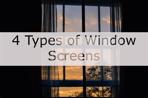 4 Types of Window Screens - METRO SCREENWORKS