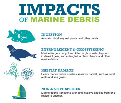 Impacts of Marine Debris: the Struggle for Marine Animals | OR&R's Marine Debris Program