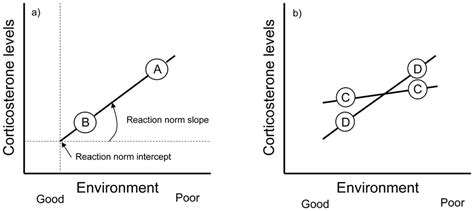 The concept of reaction norms. Reaction norms are the phenotypic... | Download Scientific Diagram