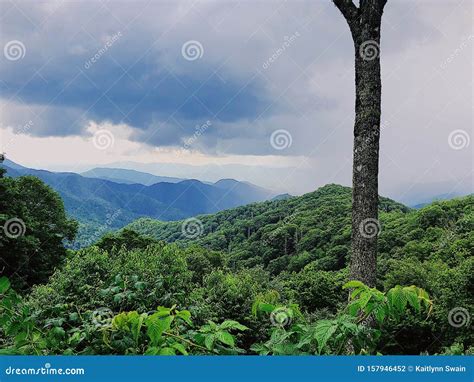 Green mountain stock photo. Image of plants, mountain - 157946452