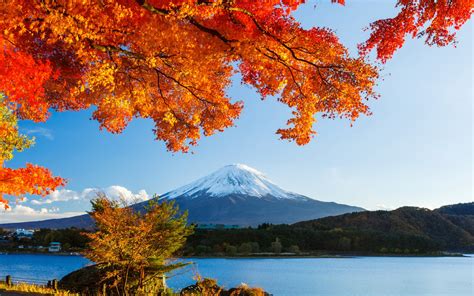 Download Nature Mount Fuji HD Wallpaper