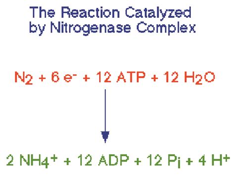 Nitrogen