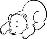 Bear Coloring Pages Printable