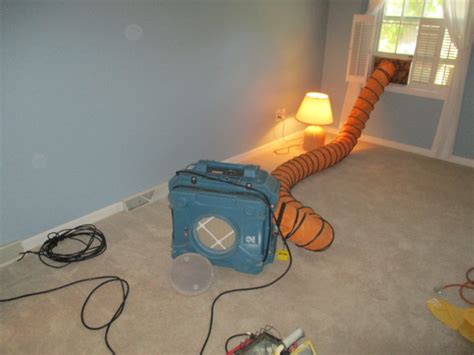 Mold Abatement, Mold Removal and Mold Remediation - What is it?