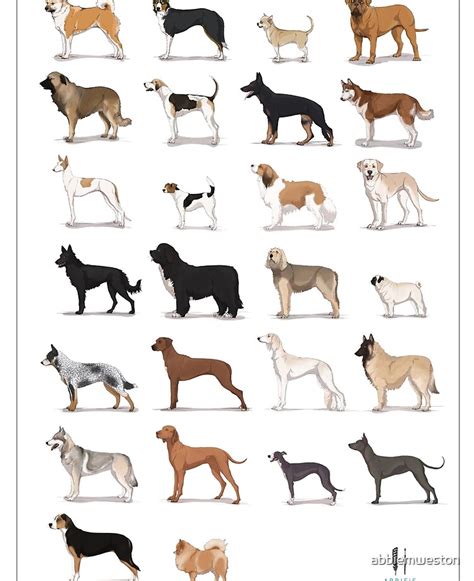 All Dog Breeds A-z - PUPPY CUTE DOG