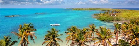 Isla Contoy - Qué ver, cómo llegar y su ubicación en Riviera Maya