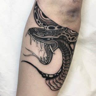 25+ Black and Grey Snake Tattoo Designs | PetPress