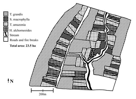 Plantation layout at the study site | Download Scientific Diagram