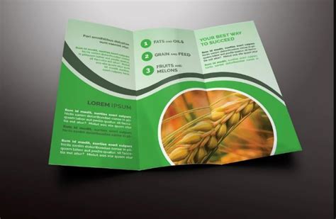 15+ Free Agriculture Brochure Template Design Download - Graphic Cloud