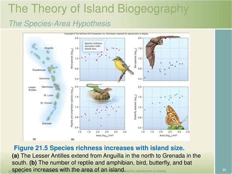 PPT - CHAPTER 21 Island Biogeography Prepared by Peter Stiling University of South Florida ...