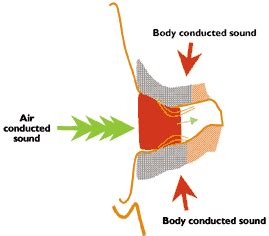 Occlusion and Own-Voice Issues: Protocols and Strategies | The Hearing Review