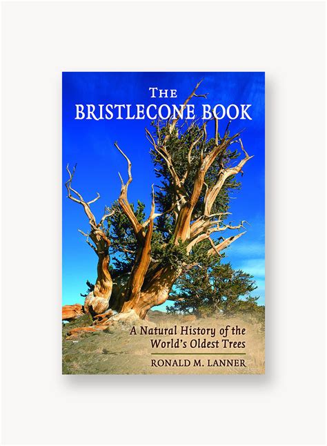 The Bristlecone Book: A Natural History of the World's Oldest Trees – Theodore Payne Foundation