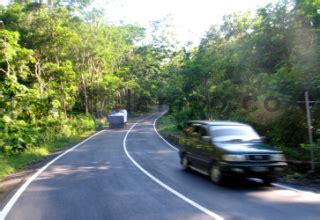 taman hutan raya bukit soeharto - DATATEMPO