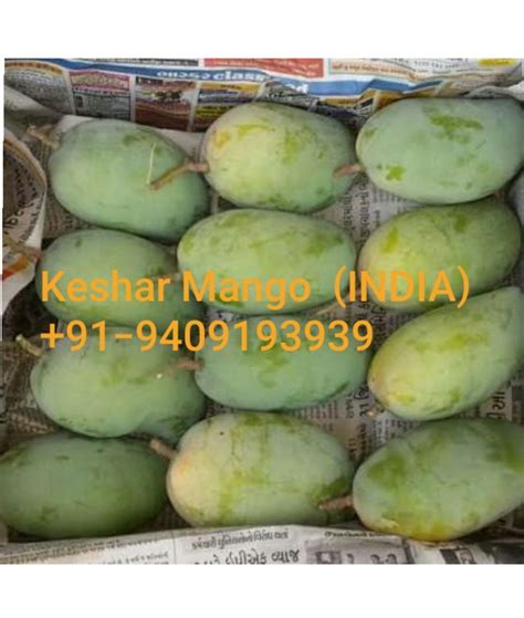 Kesar Mango at Rs 600/box | Near Old Zakatnaka, | Visavadar | ID: 19168971830