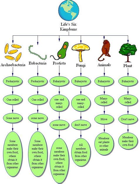 Biology Domains And Kingdoms Chart