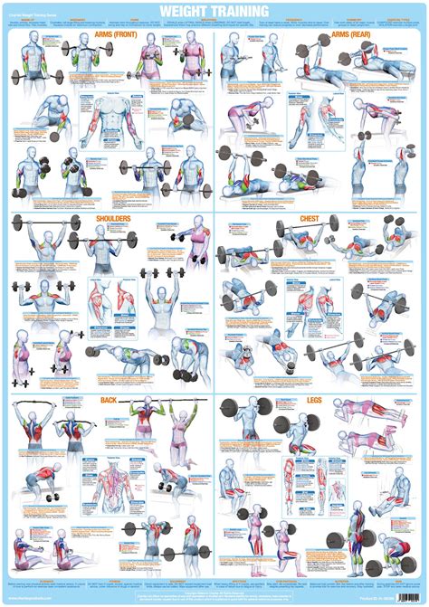 Weight Training Bodybuilding Exercise Poster