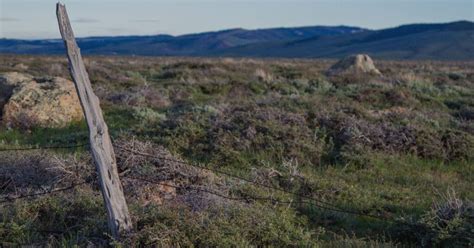 Highway 28 Fence Improvement Project - Wyoming Wildlife Federation