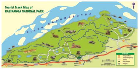 Kaziranga National Park - Wikitravel