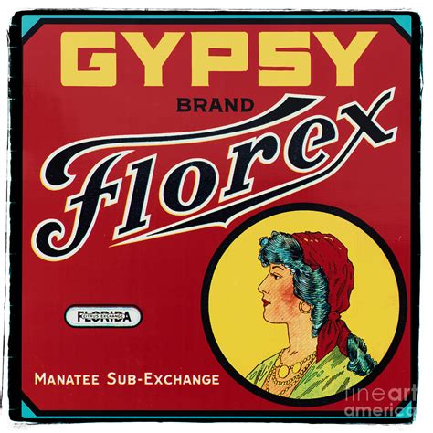 Vintage Florida Food Signs 2 - Gypsy Florex Brand - Square Photograph ...