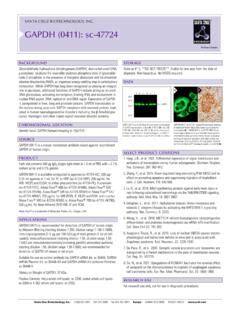 SANTA CRUZ BIOTECHNOLOGY, INC. GAPDH (0411): sc … / santa-cruz-biotechnology-inc-gapdh-0411-sc ...