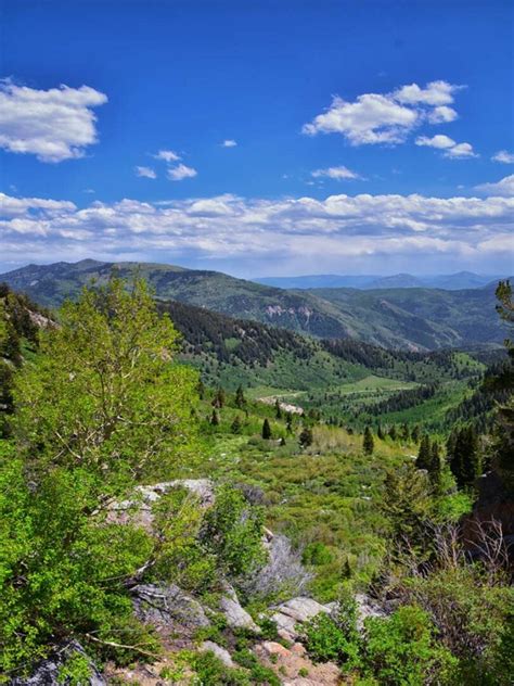 Best Hikes in Salt Lake City: 15 Epic Trails – Insider's Utah