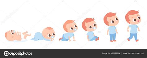 Baby Development Timeline Baby Growth Stages Crawling Sitting Set Baby Stock Vector Image by ...