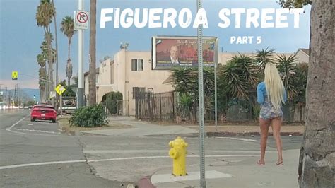 FIGUEROA STREET LIZARDS OUT ON A RAINY DAY (PART 5) - YouTube