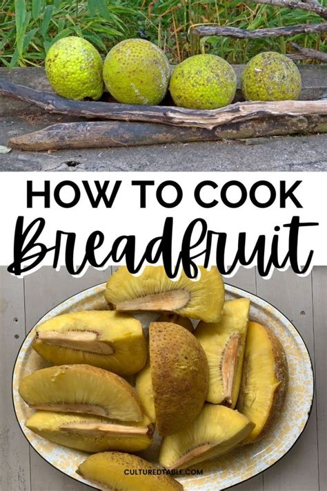 Easy Caribbean Breadfruit Recipes 2023 - AtOnce