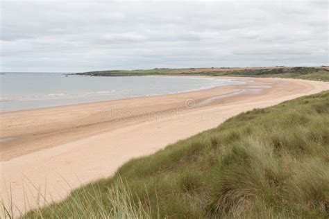 Cruden Bay beach stock photo. Image of scenery, beautiful - 230694938