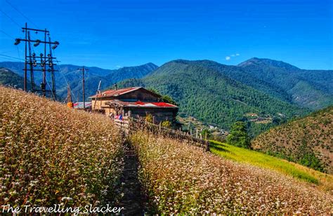 Dirang Valley Trek: From to Azure to Aquamarine | The Travelling Slacker