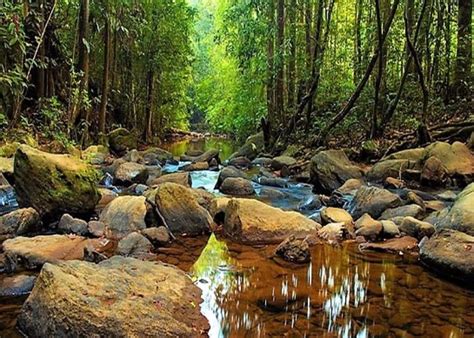 Sinharaja Forest Reserve – National park on the map of Sri Lanka