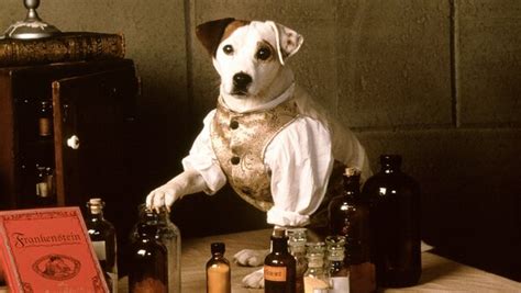 Wishbone Season 1 Episode 31