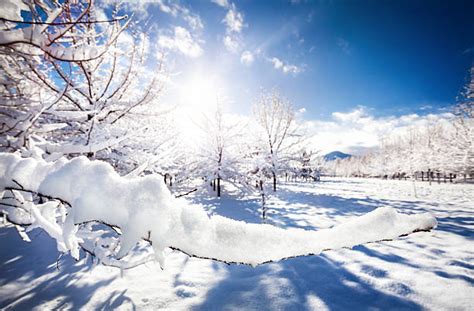 Best Sunny Winter Day Stock Photos, Pictures & Royalty-Free Images - iStock